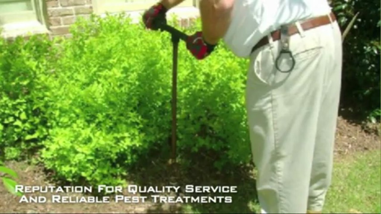 Pest Services Acworth | Noble Pest Services Call (678) 322-8989