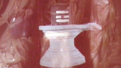 Vinayaka Vijayam Movie Songs - .Sambha Sada Siva - Krishnam Raju, Vanisree