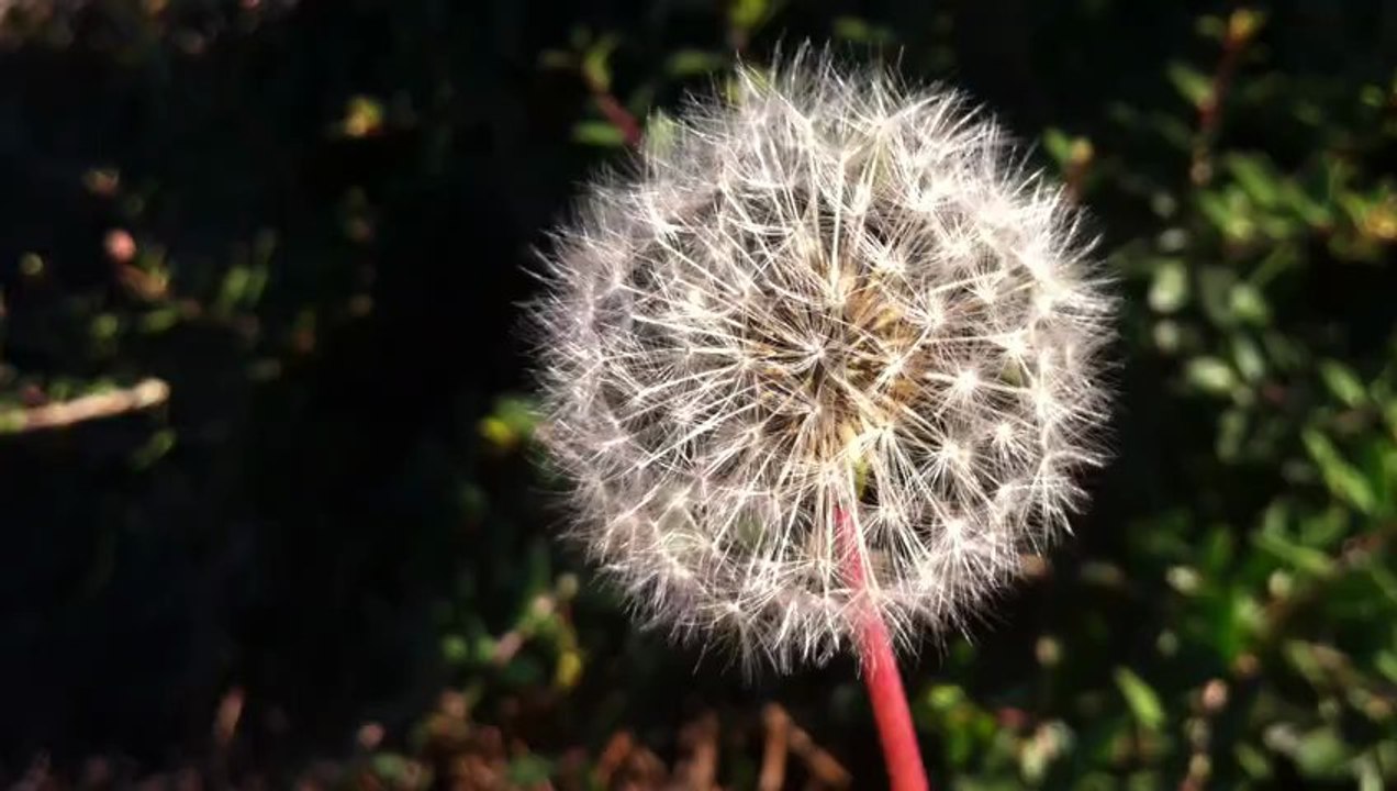 10:44