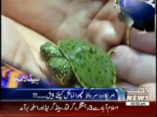 Waqtnews Headlines 03:00 PM 28 June 2013