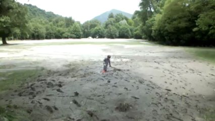 Nettoyage du gave de Pau, dommages collatéraux...