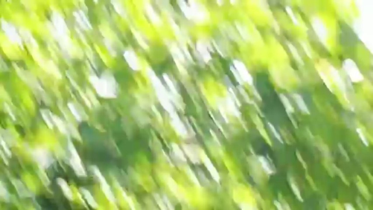 DSCF2249