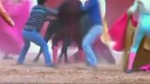 Peruvian bullfighter seriously injured in gruesome goring