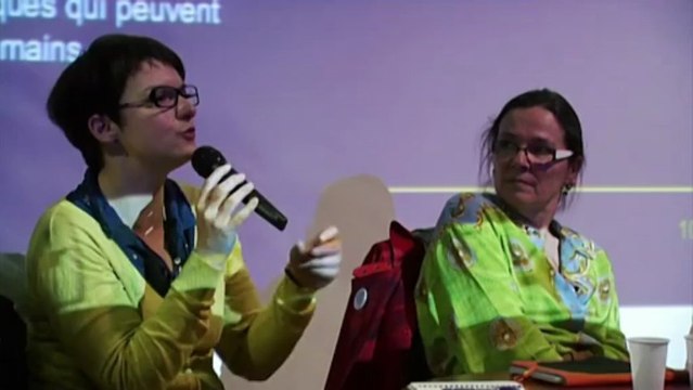 Lecture sérieuse, lecture joueuse : la littérature jeunesse à l'heure du numérique. Journée d'étude du 23 mai 2013. Partie 6 / 10