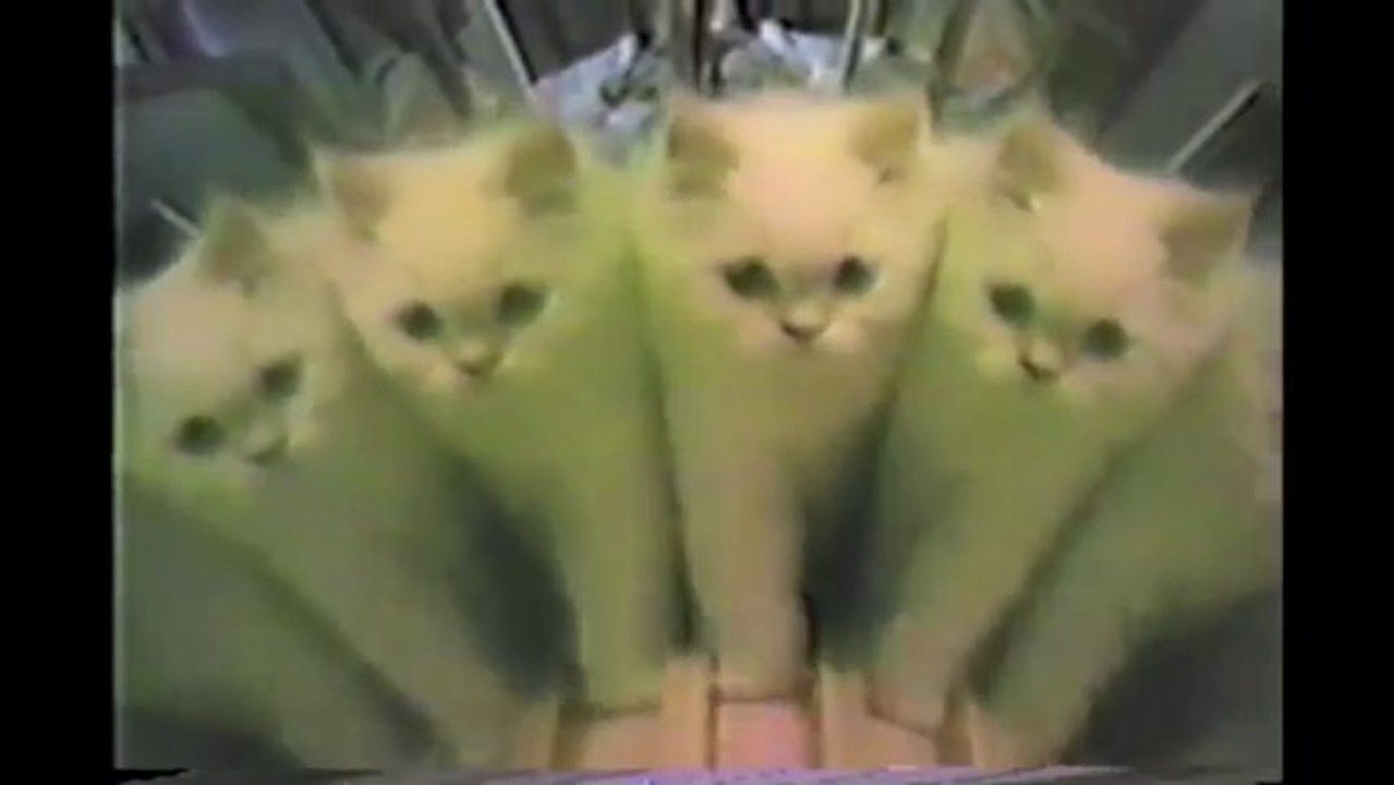 Un chat dans un kaleidoscope