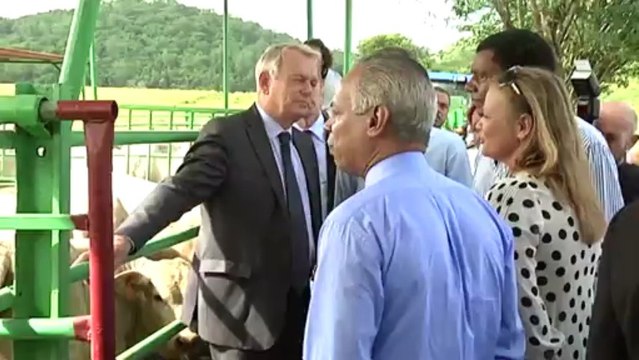Martinique : Jean-Marc Ayrault visite une exploitation agricole