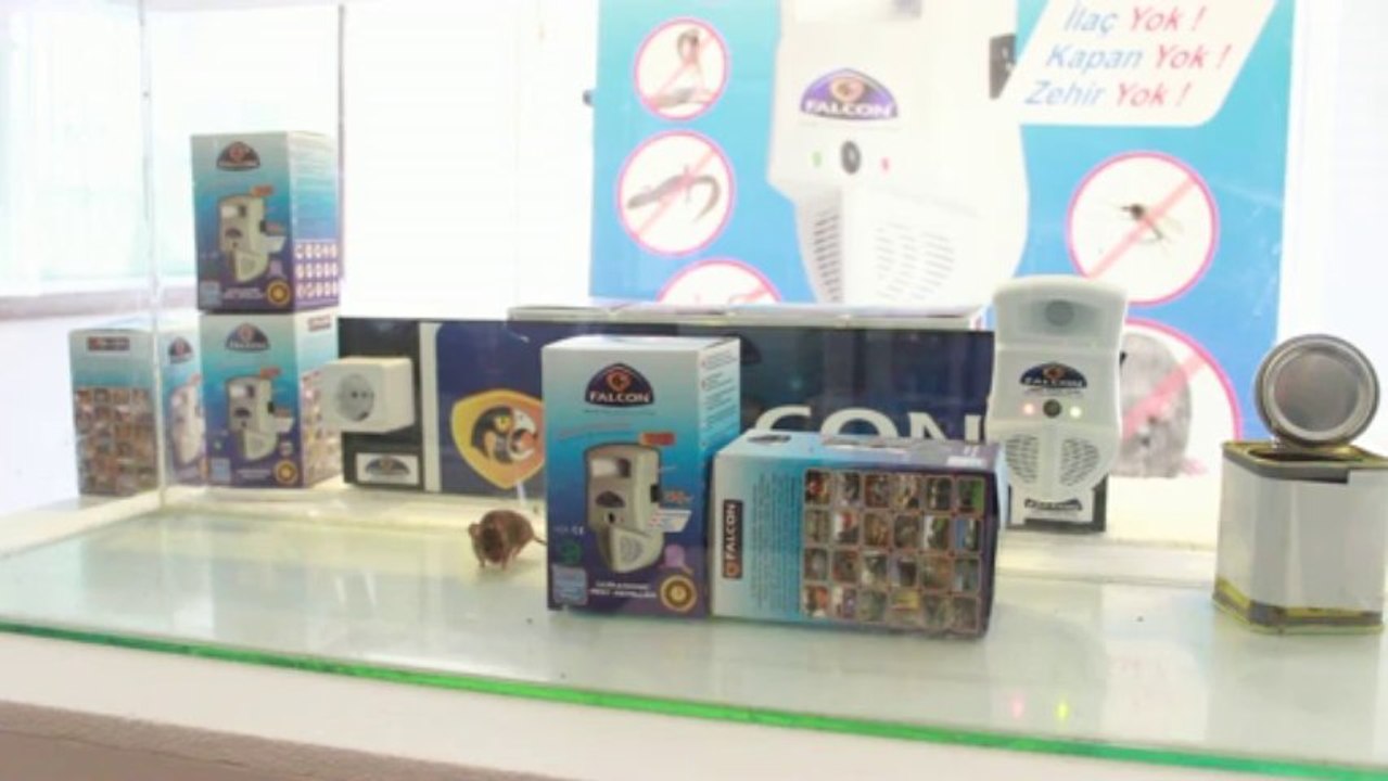 fare dans ediyor falcon zıplatıyor