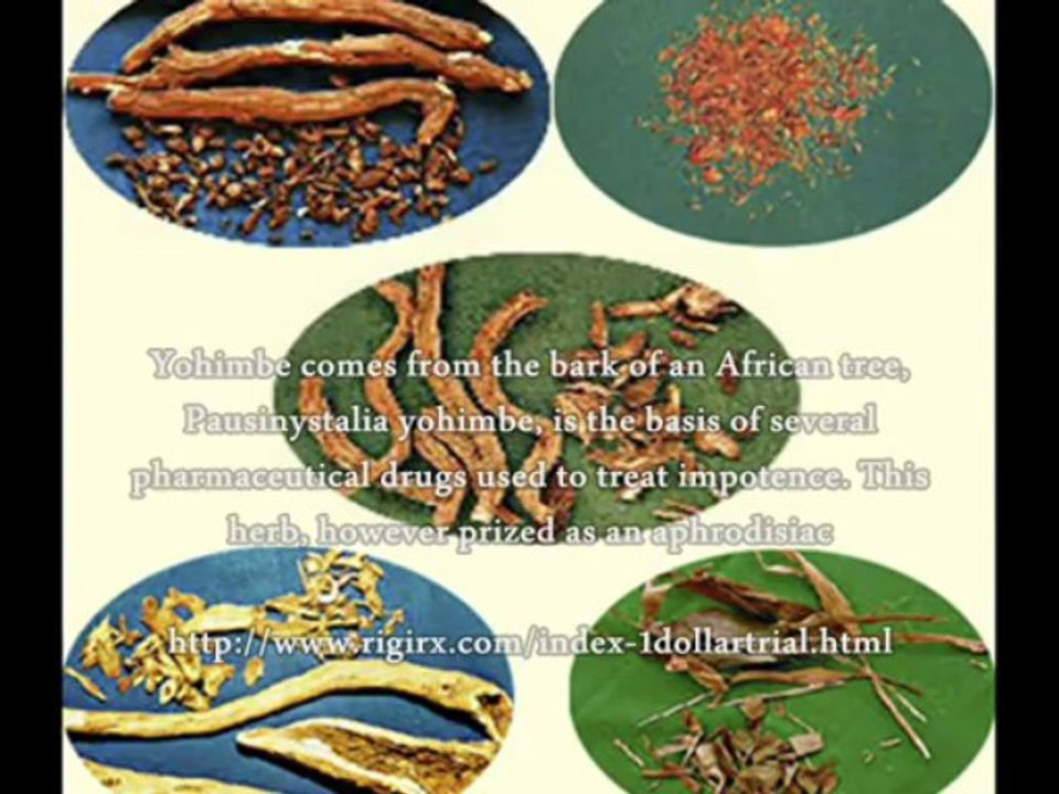 Herbal Treatments For Erectile Dysfunction Symptoms - The Best Herbal Treatments For Erectile Dysfunction Symptoms!