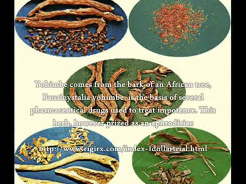 Herbal Treatments For Erectile Dysfunction Symptoms - The Best Herbal Treatments For Erectile Dysfunction Symptoms!