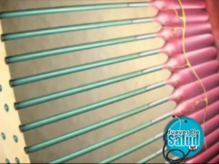 Conozca las causas de la sensibilidad dental, en jueves de salud 27 de Junio de 2013