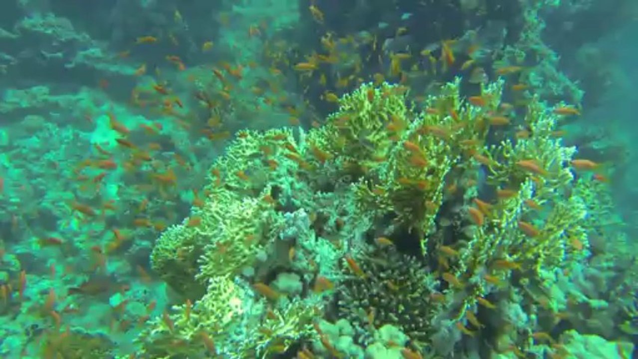 GOPR0102