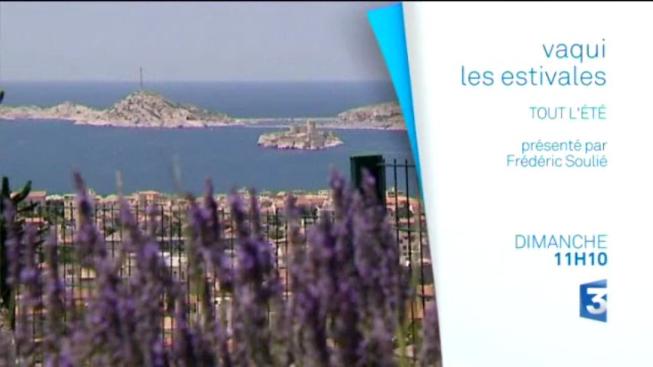 Bande annonce Estivales de VAQUI 2013, le dimanche vers 11h10