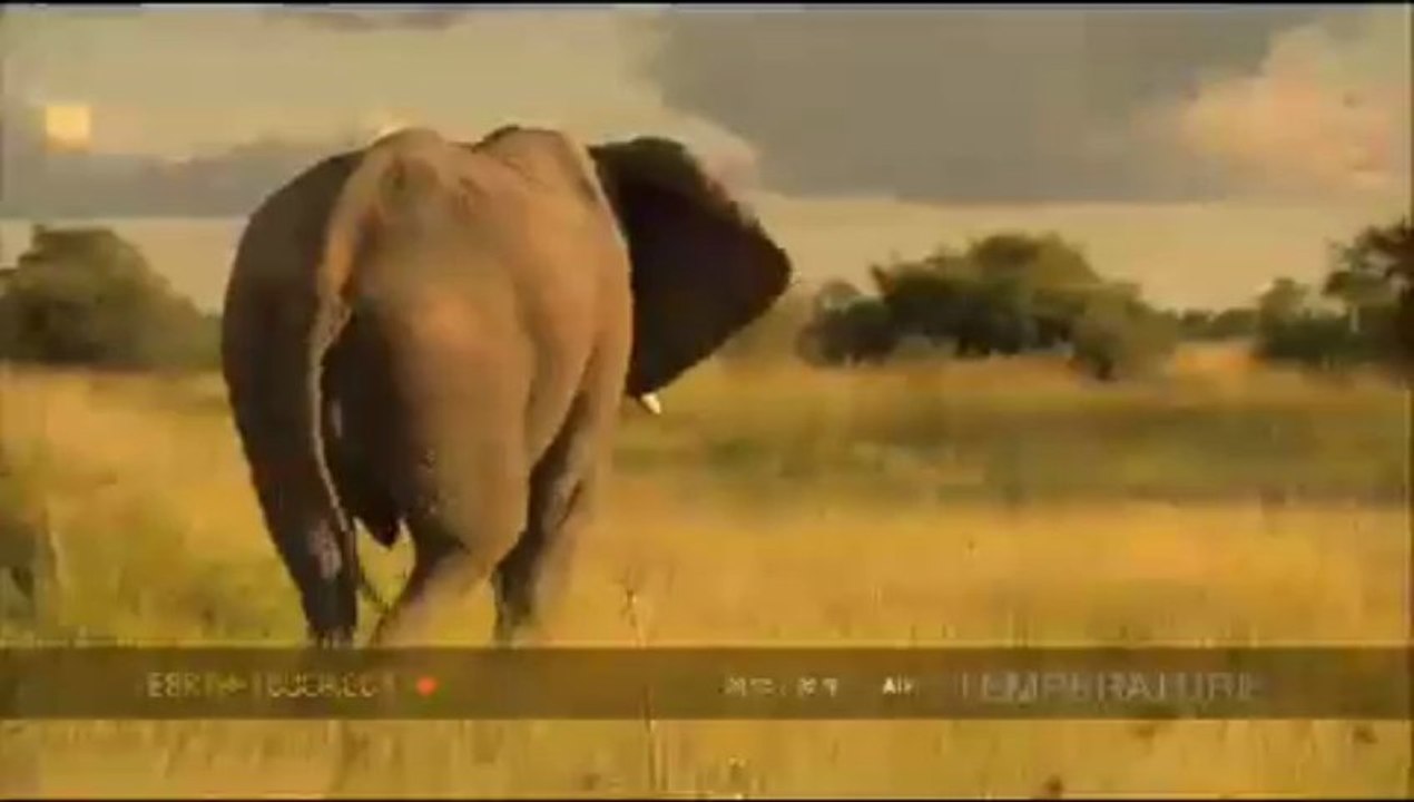 Video Campaign 98 I hope you enjoy this video campaign today. This is for testing and only for the developer.