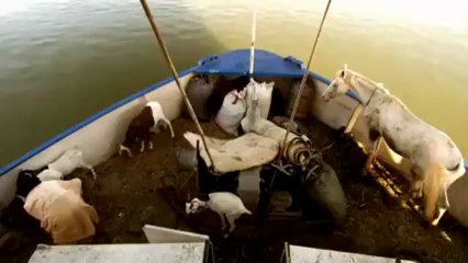 14 kilomètres ( bande annonce )