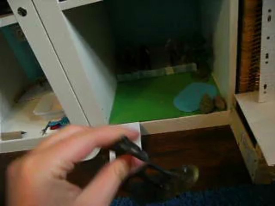 présentation de mon Centre équestre schleich