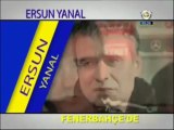 Ersun Yanal, Fenerbahçe'de