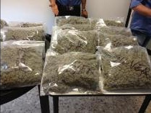 Trentola Ducenta (CE) - Sequestrati 22 chili di marijuana, 5 arresti (28.06.13)