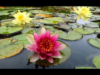 Mehdi Hassan bheegi raaton mein chupkay chupkay