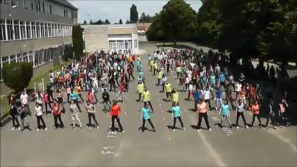 Flash mob collège Gaston Couté de Meung/Loire