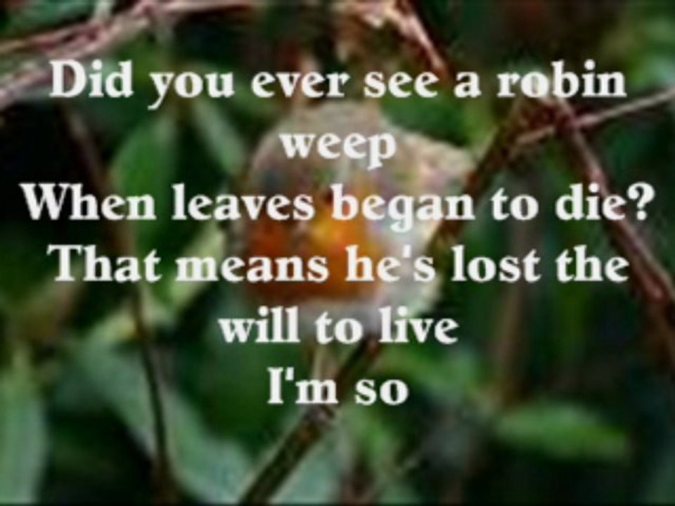 I'm So Lonesome