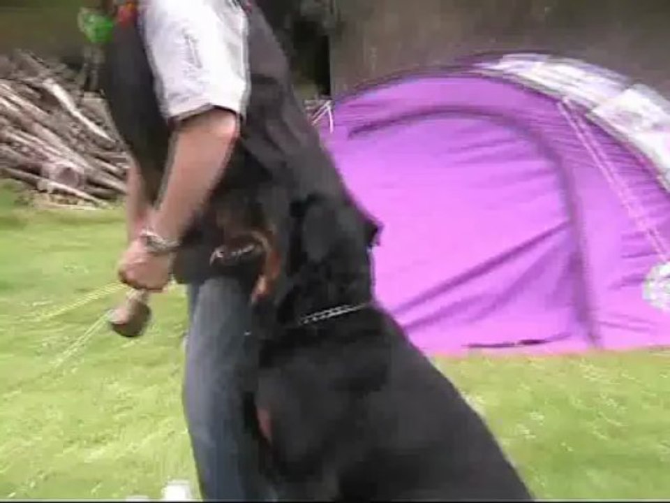 faros entrainement 28 06 2013