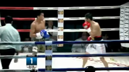 2013-06-28 Wang Xin Hua vs Lionel Legada