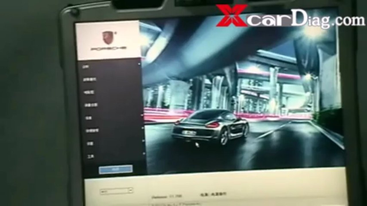 Porsche Piwis Tester II setup