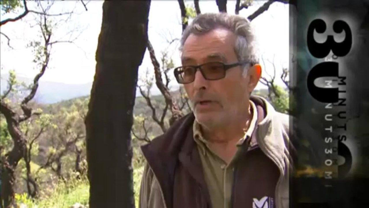 TV3 - 30 Minuts - Terra cremada
