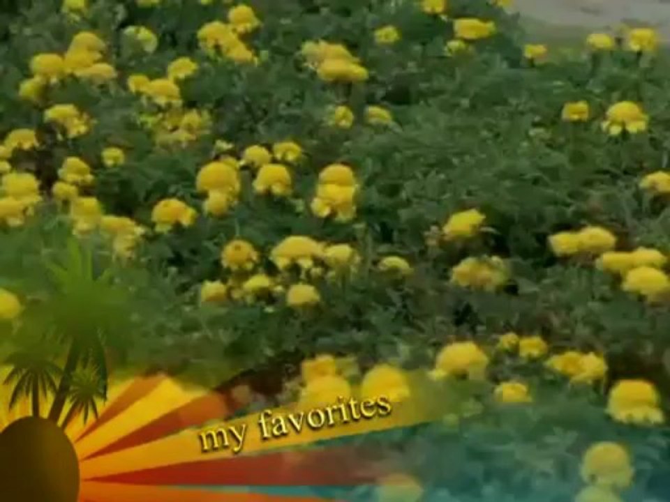Mujhe Aisa Mila Moti - Pighalta Aasman (1985) Full Song HD