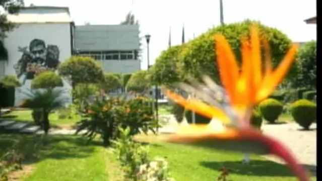 DIARIO NOTICIAS Viernes 28 de Junio de 2013-20130628-210501_446