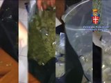 Trentola Ducenta (CE) - Sequestrati 22 chili di marijuana, 5 arresti (28.06.13)