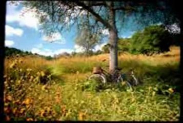 K-Fee Meadow Commercial - Feat Micky Liny & Molenner