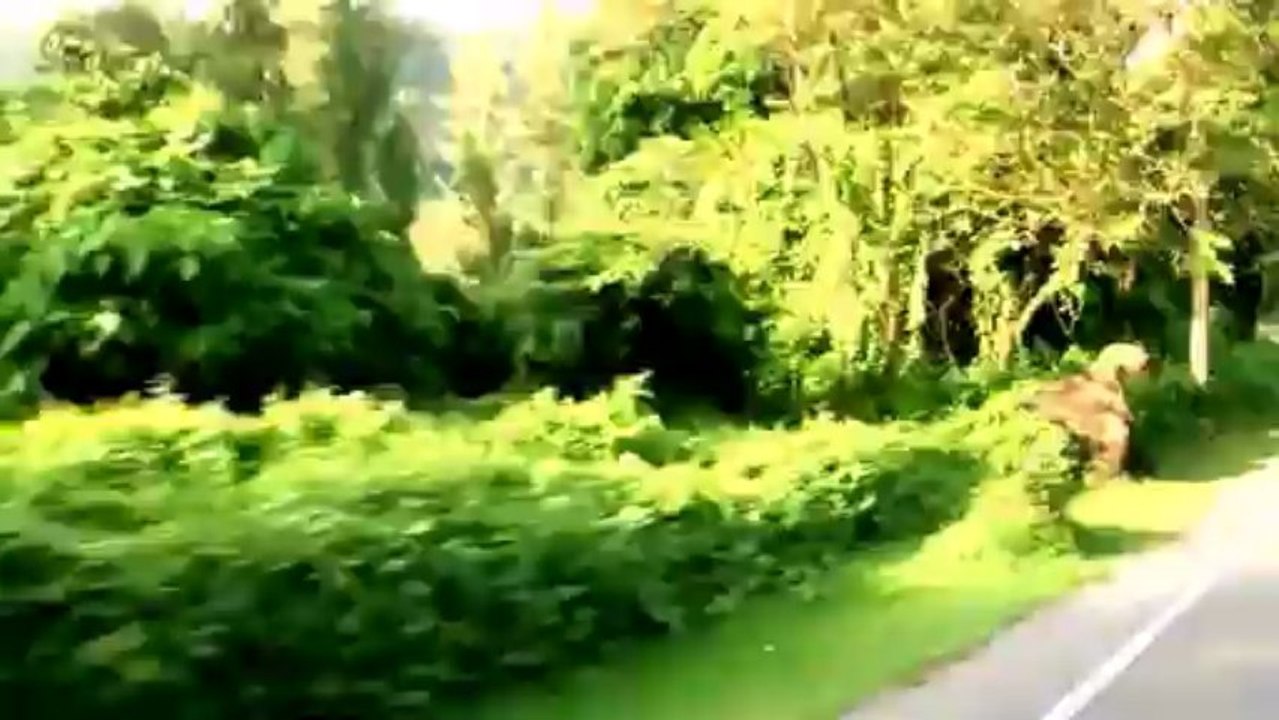 дорога из Карона на Патонг / Phuket / Thailand