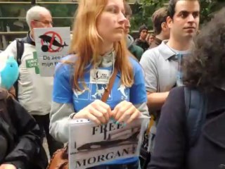 Closing dolphinariums Partie 2