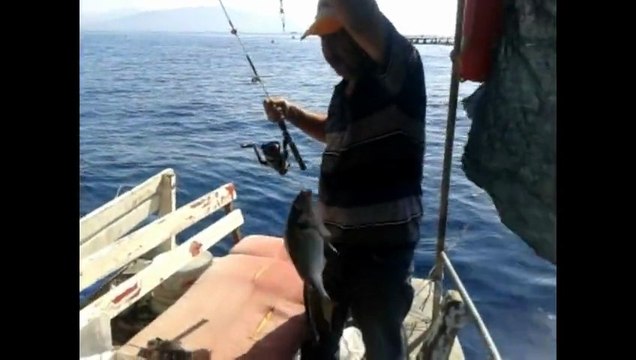 ismail kaptan balık avı 26.06.2013 tel 05334559097