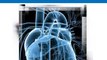Global Cardiac Implant Devices Market (www.renub.com/report/life-science/medical-devices)