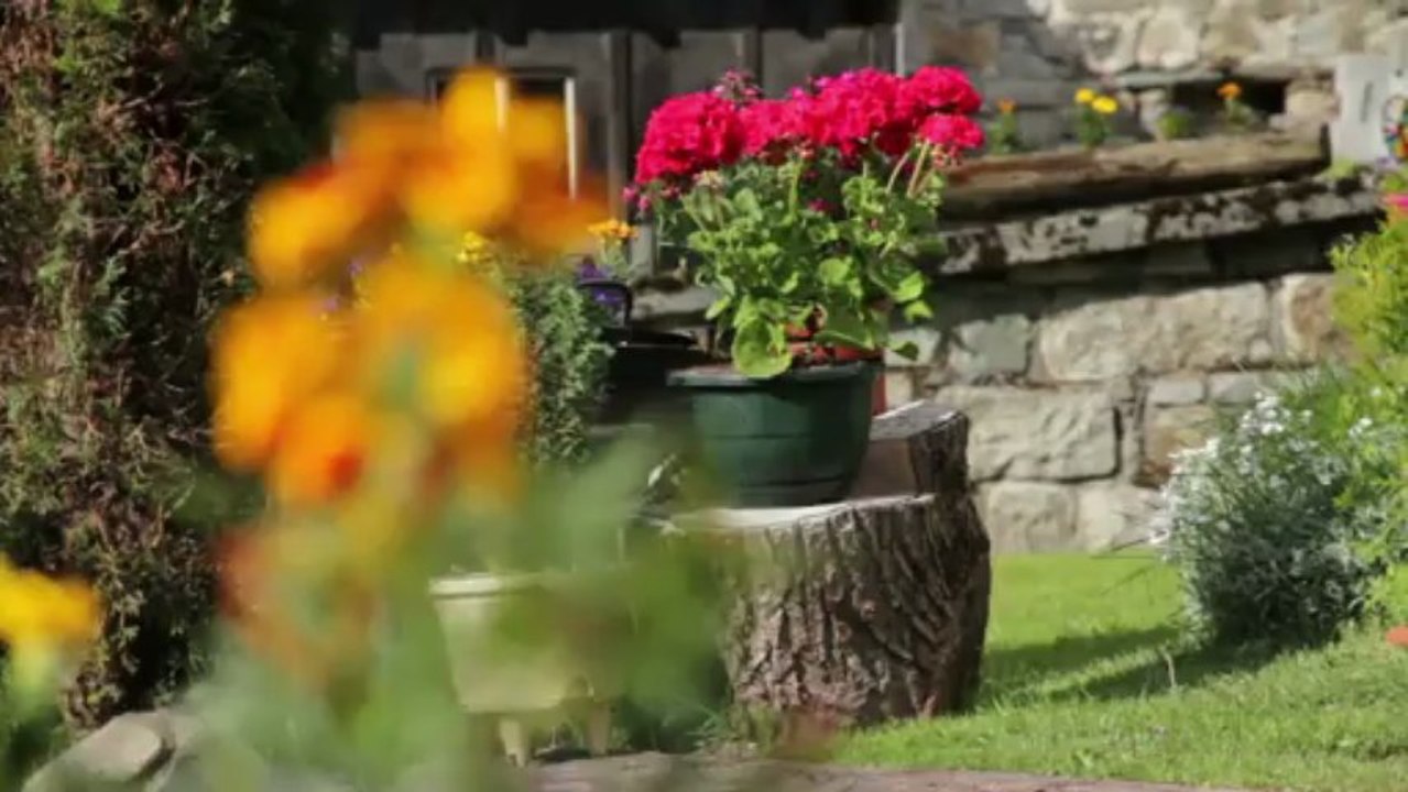 80km - Vallorcine - Chamonix Marathon et Cross du Mont-Blanc 2013