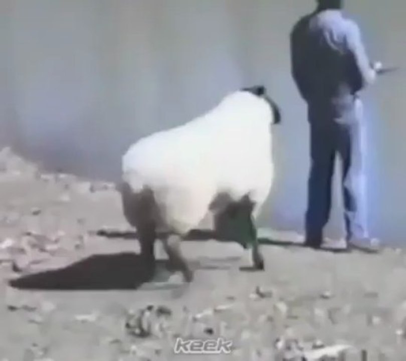 #خروووووف