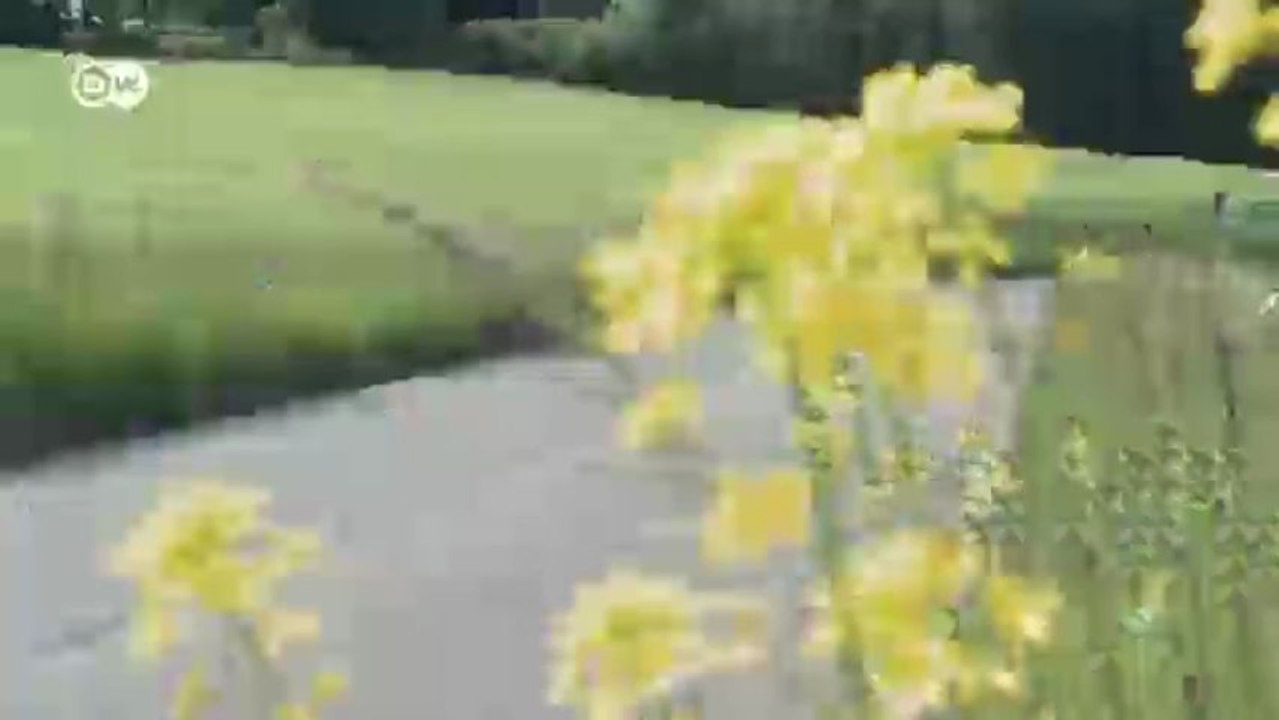 Motor mobil: Das Automagazin | Motor mobil