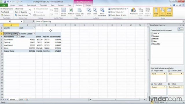 1102 Creating a basic PivotTable