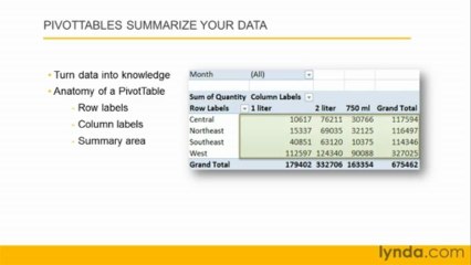 1101 Discovering PivotTables