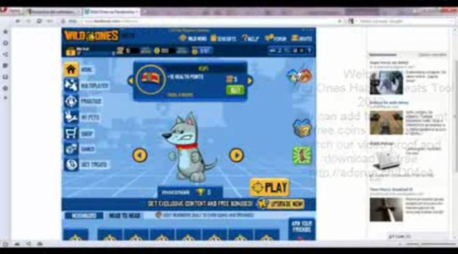 Wild ones coins and credits generator 2013 added new version