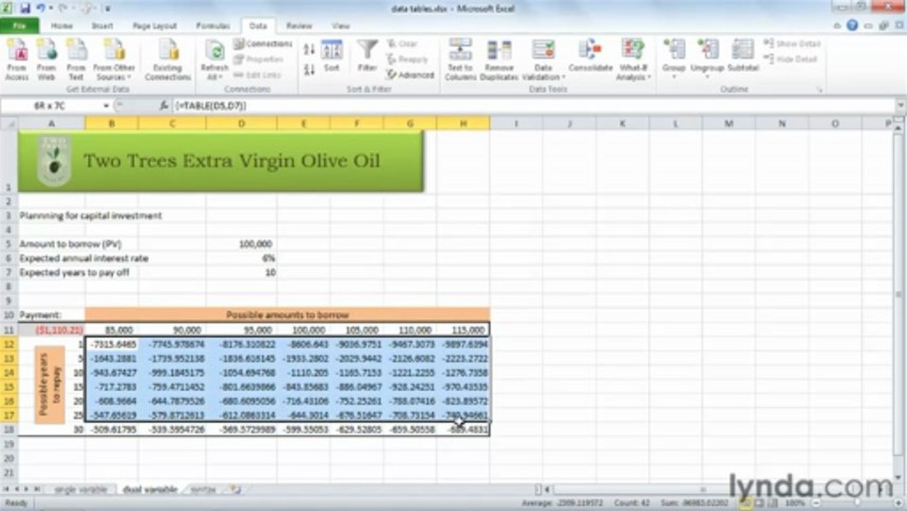 1004 Using data tables in formulas