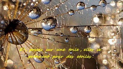 Goutte de vie