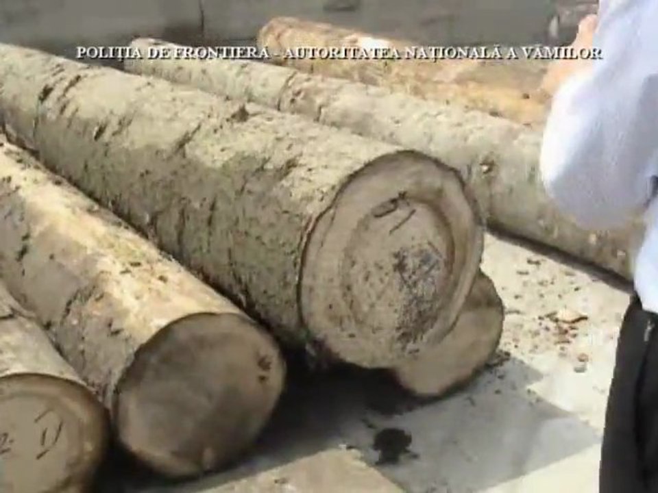 Des cigarettes dans un tronc d'arbre