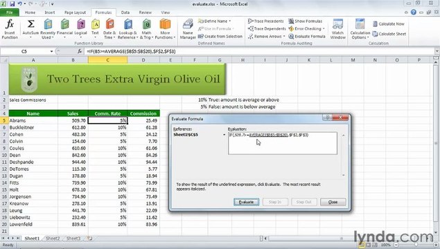 1002 Using evaluation in Excel