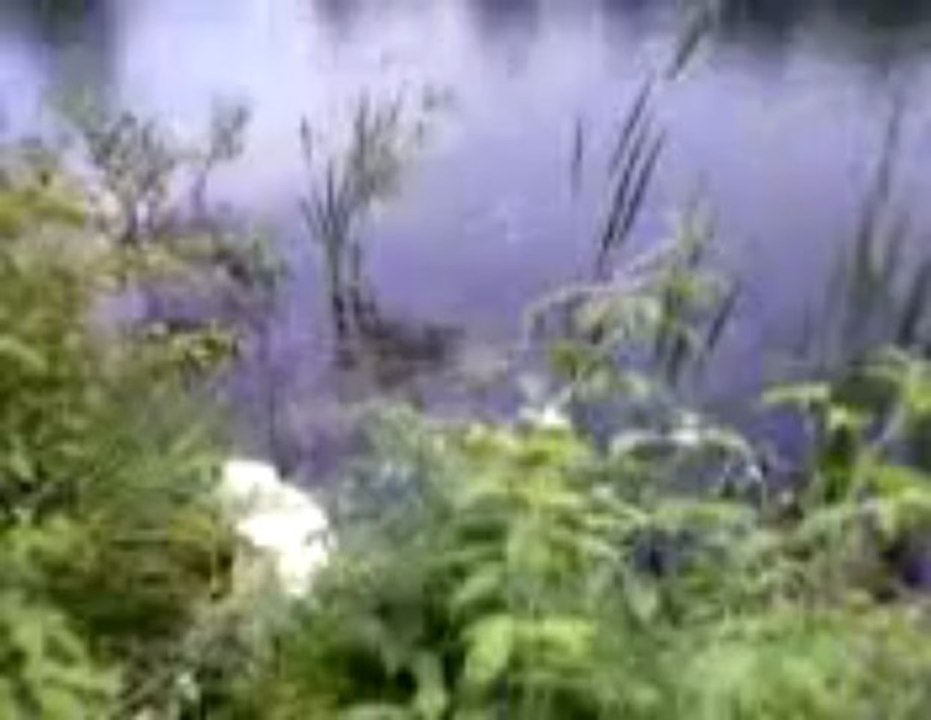 Видео-0008