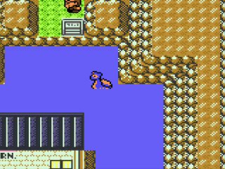 Pokémon version cristal 13) Une envie de dragon