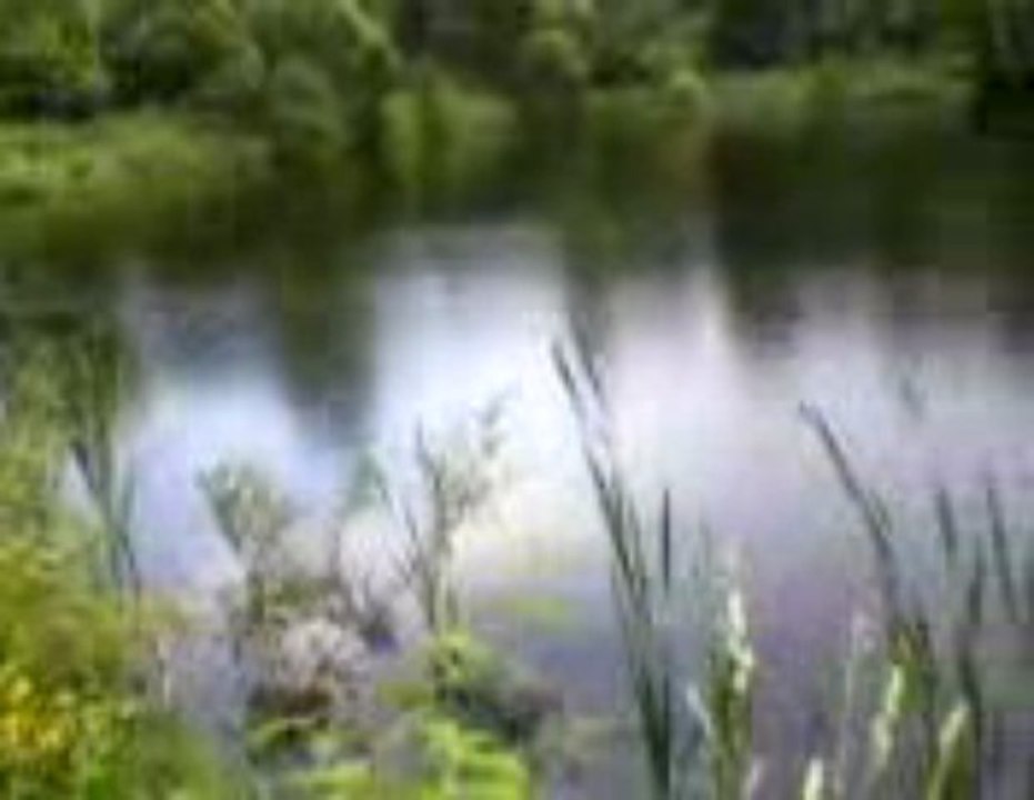 Видео-0009
