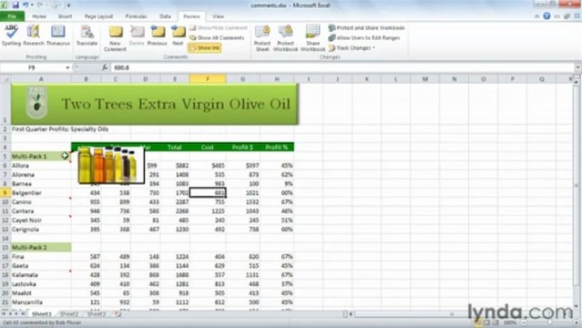 0803 Inserting and editing comments